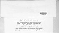 Rhynchosporium secalis image
